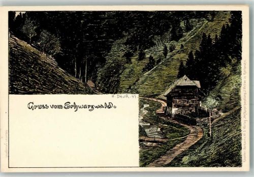 1899 Gruss aus Schwarzwaldhaus Velten Verlag Nr. 5