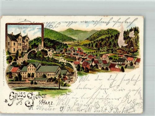 Sieber 1901 Lithographie Hotel zum Pass Villa Bethmann Oberflächenschaden Bildseite