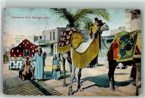 1914 - 1918 Hochzeit Chameaux Mariage arabe
