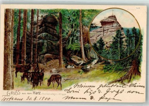 38667 W3396 Torfhaus , Harz 1900 Lithographie Altfels Hohenstein-Klippen