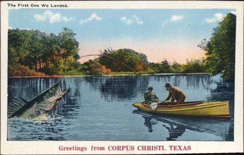 1931 -Greetings from Corpus Christi, Texas-, Angler im Boot, großer Fisch
