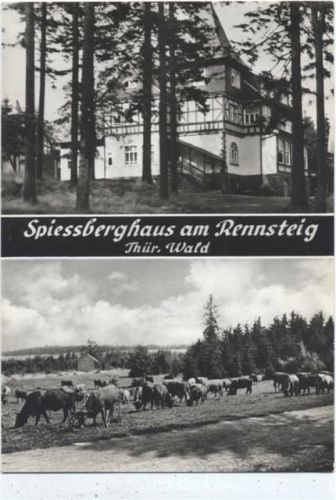 1967 Friedrichroda, Spießberghaus am Rennsteig, Fachwerk, Kuhherde,Auslese-Bild-Verlag AKU1