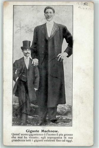 1900 Gigante Machnow AK