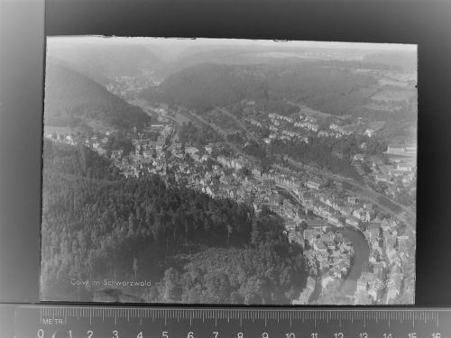 Calw