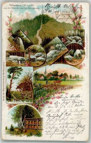 Fallingbostel 1898 Lithographie Lüneburger Heide Pferdepflug Falkenberg 7 Steinhäuser