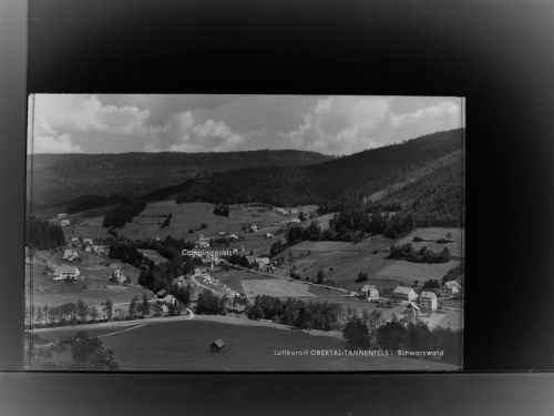 Obertal Tannenfels