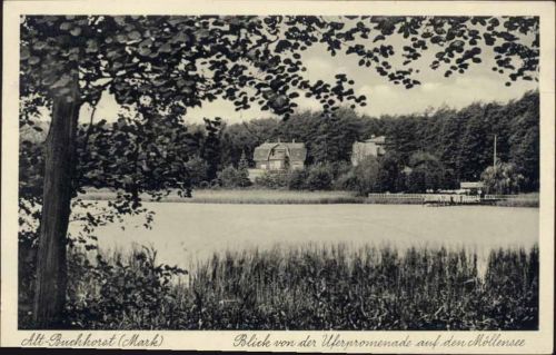 1941 Alt Buchhorst, Blick von der Strandpromenade über eine Bucht des Möllensees, Villen am anderen Ufer,W. Meyerheim AKU1