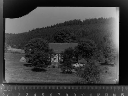 Zinse Pension