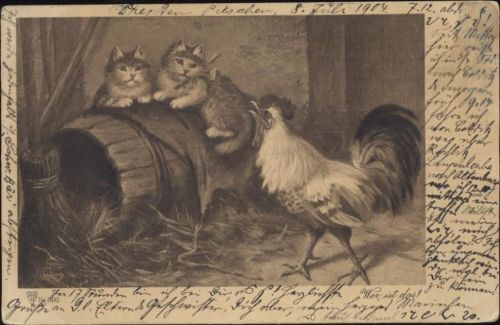 1904 Künstler AK, Katzen, Hahn,