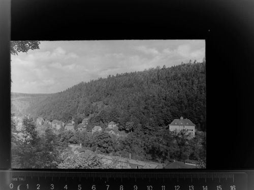 Calw