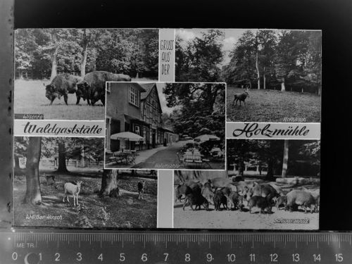 Eldagsen Wald Gaststätte Holzmühle
