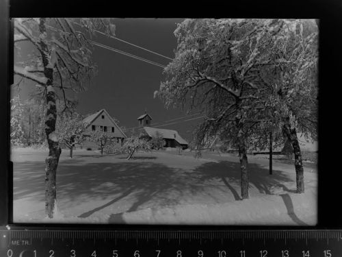 Zwieselberg Winter-AK