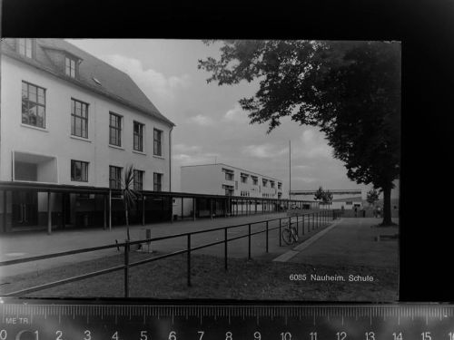 Nauheim Schule