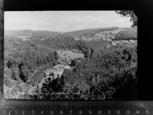 Altweilnau