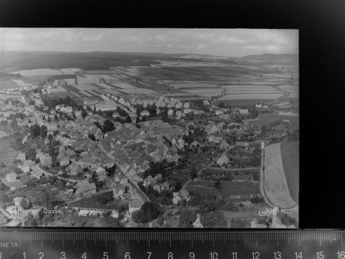 Dassel