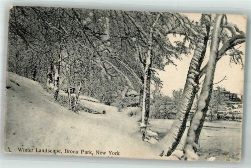 New York City Bronx Park