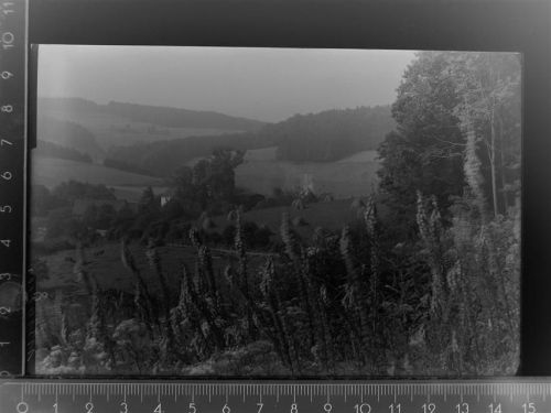 Seelscheid