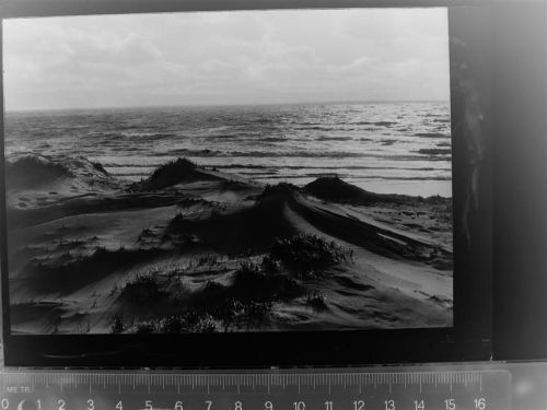 Langeoog