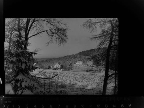 Lotterberg Winter-AK