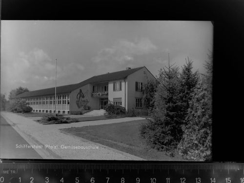 Schifferstadt Gemüsebauschule