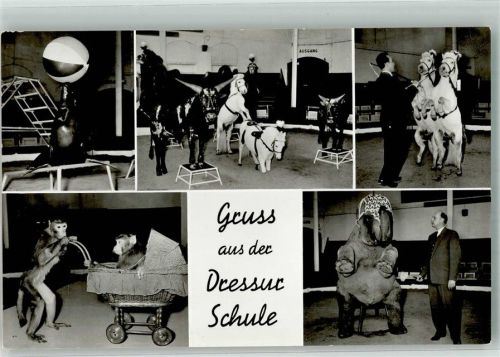 Stellingen Dressurschule mit Affen Ponys und Elefanten