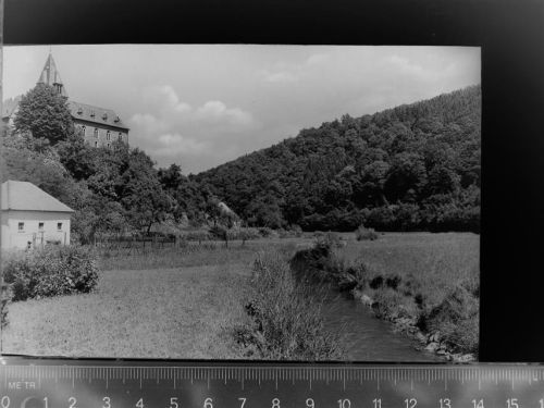 61276 W6395 Rod an der Weil GLASNEGATIV