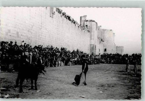 Aigues-Mortes Torero