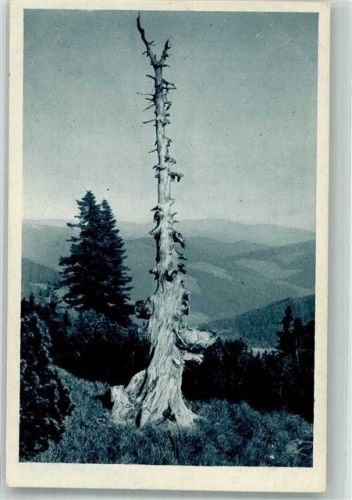 Spindleruv Mlyn Die dünne Rautze am Brunnberg