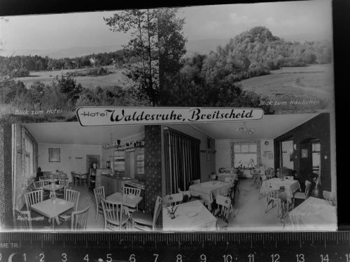 Breitscheid Hotel Waldesruhe