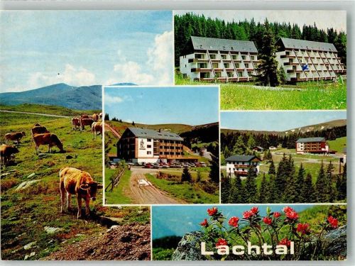 Schönberg-Lachtal Hotel Lachtalhaus