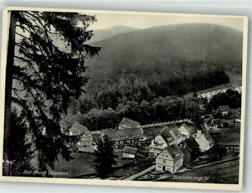 Bad Grund Blick ins lange Tal