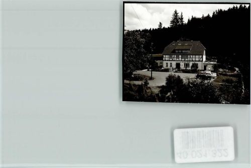 37603 W3450 Fohlenplacken FOTO KEINE AK Alte Mühle