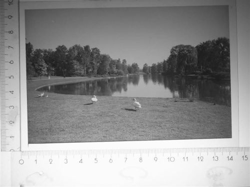 Bad Salzuflen Park