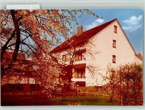 Bad Salzuflen Haus Ulrike blühende Bäume