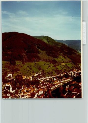 Wolfach Luftaufnahme