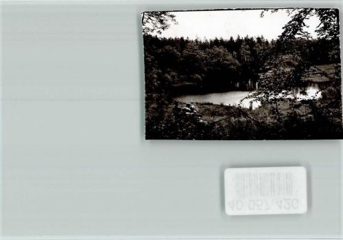 Dersau Bank am See