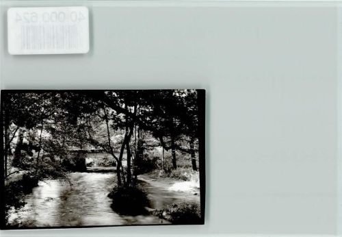 Amelinghausen Fluss aus dem Wald kommend