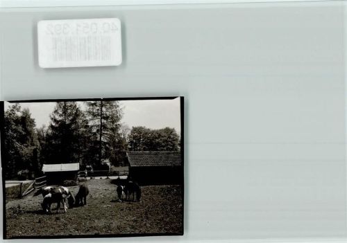 82347 W8139 Höhenried , Starnberger See FOTO KEINE AK LVA Klinik Ponys