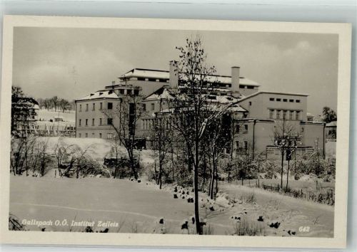 Gallspach Institut Zeileis