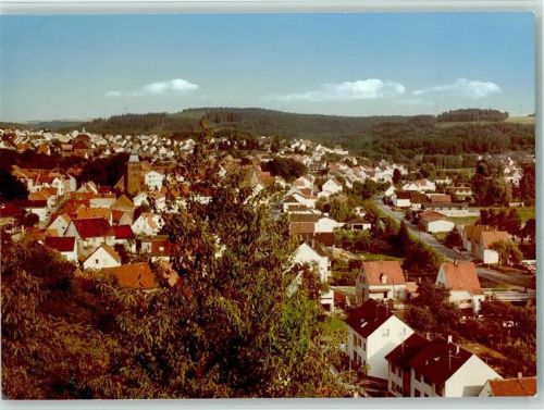 66987 W6784 Thaleischweiler-Fröschen FOTO KEINE AK Ortsansicht