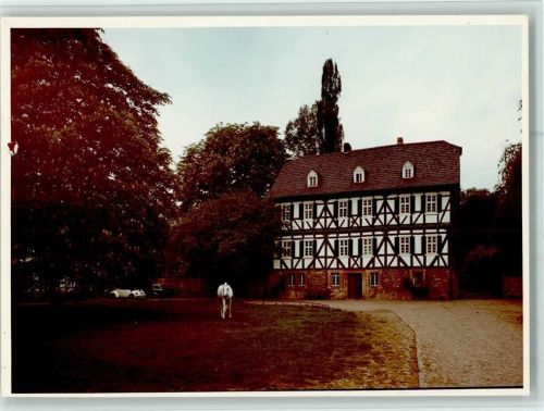 Urft Reitschule Pferd Schimmel