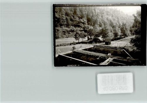 Forbach Forellenzucht Wienert