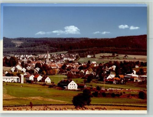 Schönsee Ortsansicht