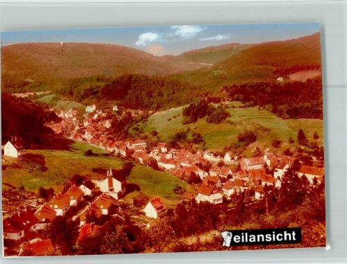 Bad Grund Teilansicht
