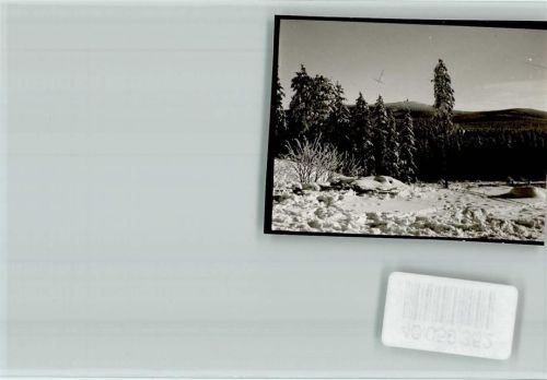 Torfhaus Winterwald