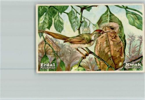 Schneidervogel Erdal-Kwak Sammelbild Serie69 AKU2