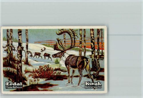 Erdal-Kwak Sammelbild Tiere des Diluviums Serie 29 Bild 3
