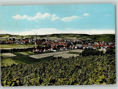 Windesheim Gesamtansicht Weinberge