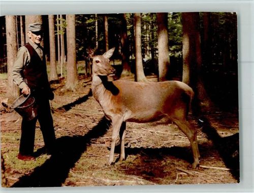 Mülben Förster und Hirschkuh