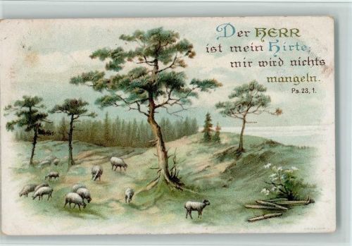 Der Herr ist mein Hirte mir wird nichts mangeln Schafe auf der Weide